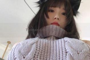 女神是一只废喵了精选，合集上品，猫咪说这都是她的灵感来源。
