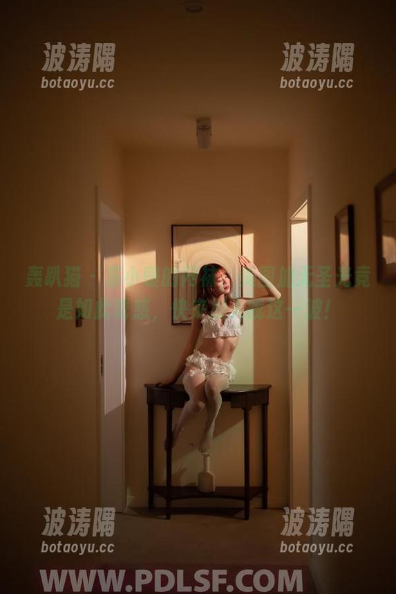 轰趴猫 - 苏小暖的网袜，美图加无圣光竟是如此诱惑，快来加入我这一波！