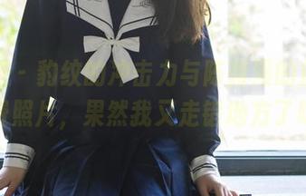 轰趴猫 – 豹纹的冲击力与陈雅漫的魅惑，免费照片，果然我又走错地方了吧？